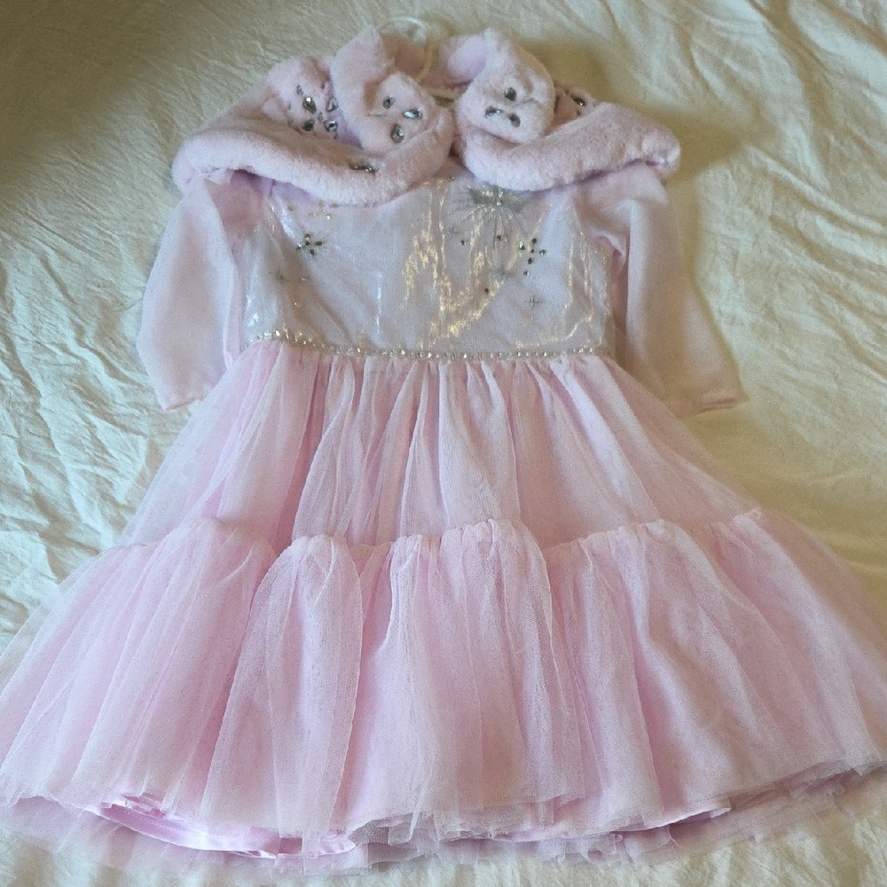 Disney Princess Dress